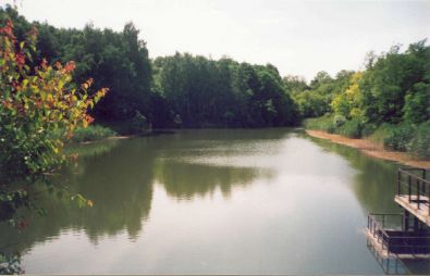 Заярський ставок